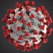 Corona-Covid19-cdc-w9KEokhajKw-unsplash_3
