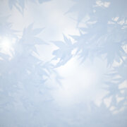 Overlijden-Mourning-leaves-of-grey-©Dreamstime_0