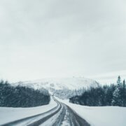 michael-odelberth-lyzi2Sw2Vcc-unsplash